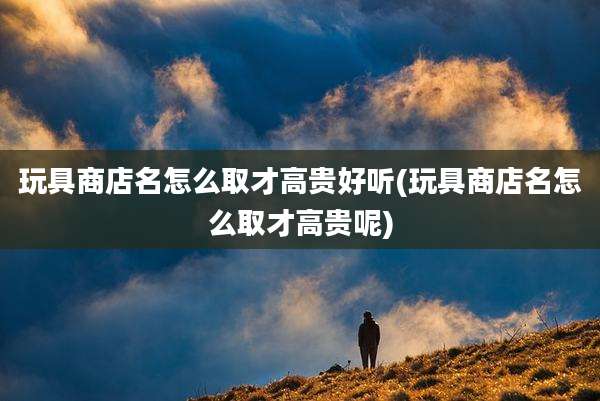 玩具商店名怎么取才高贵好听(玩具商店名怎么取才高贵呢)