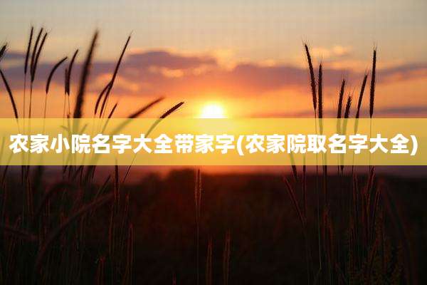 农家小院名字大全带家字(农家院取名字大全)