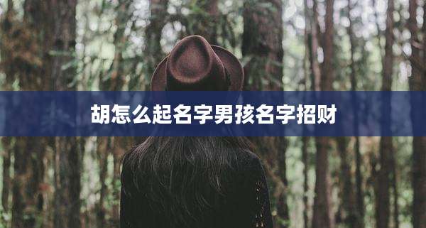 胡怎么起名字男孩名字招财