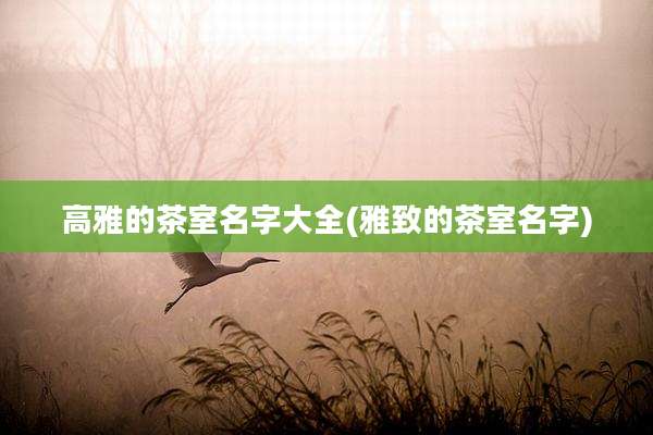 高雅的茶室名字大全(雅致的茶室名字)