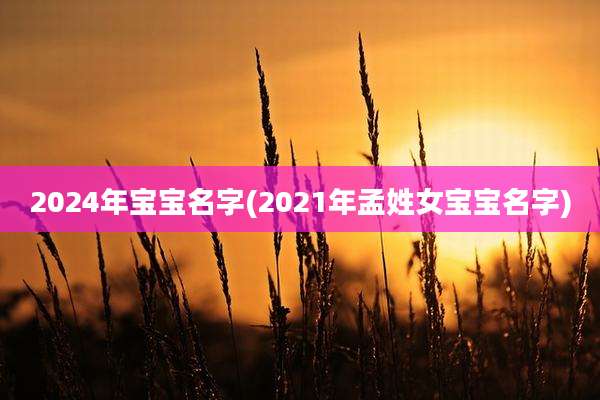 2024年宝宝名字(2021年孟姓女宝宝名字)