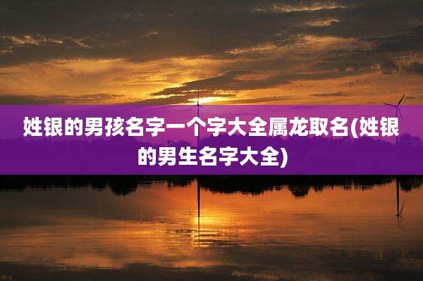 姓银的男孩名字一个字大全属龙取名(姓银的男生名字大全)