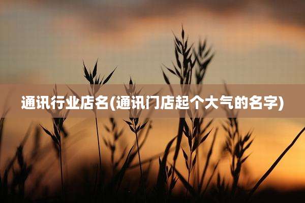 通讯行业店名(通讯门店起个大气的名字)