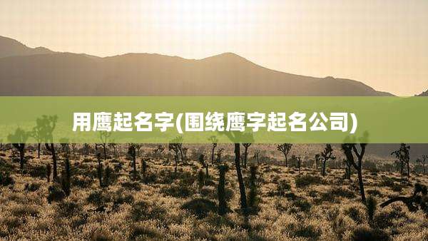 用鹰起名字(围绕鹰字起名公司)