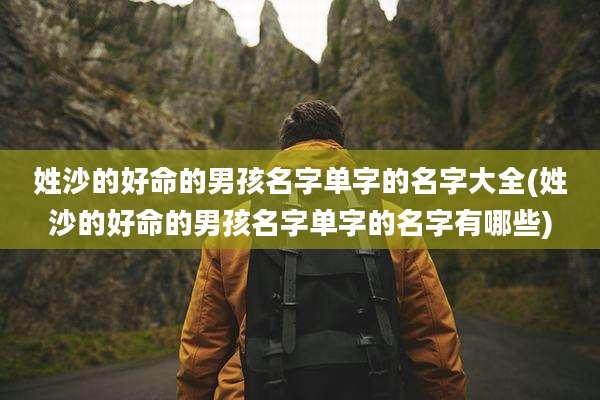 姓沙的好命的男孩名字单字的名字大全(姓沙的好命的男孩名字单字的名字有哪些)
