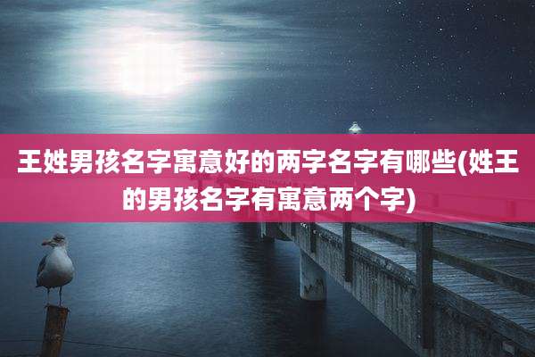 王姓男孩名字寓意好的两字名字有哪些(姓王的男孩名字有寓意两个字)