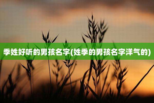 季姓好听的男孩名字(姓季的男孩名字洋气的)