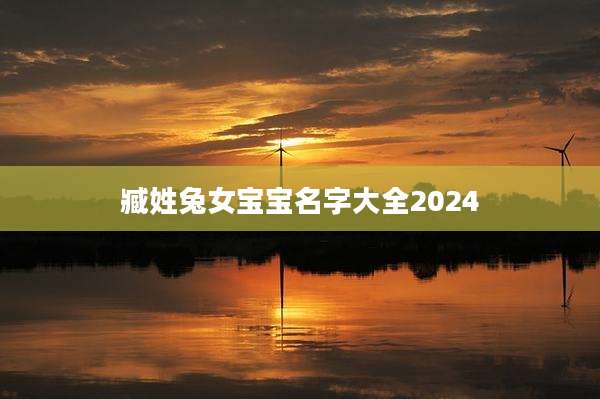 臧姓兔女宝宝名字大全2024