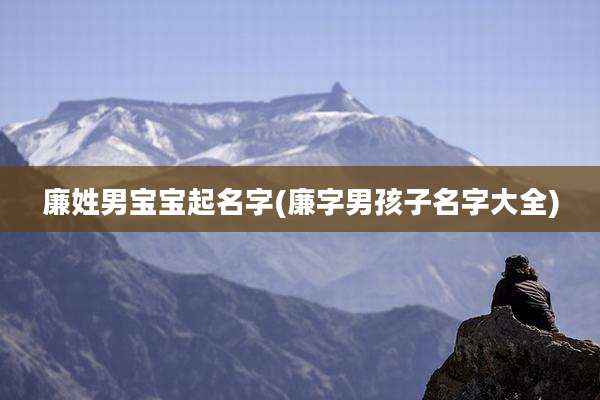 廉姓男宝宝起名字(廉字男孩子名字大全)