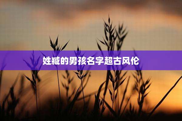 姓臧的男孩名字超古风伦