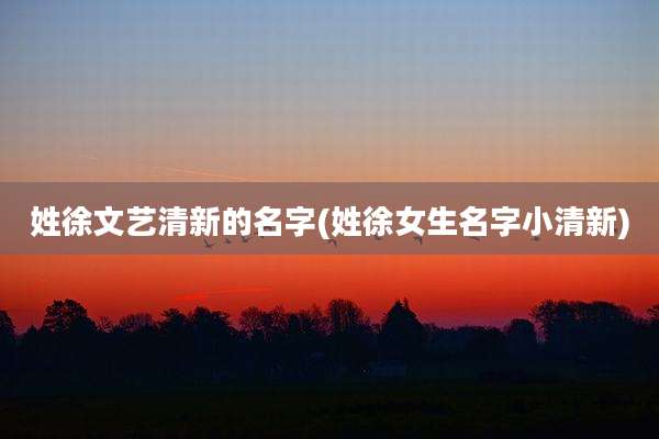 姓徐文艺清新的名字(姓徐女生名字小清新)