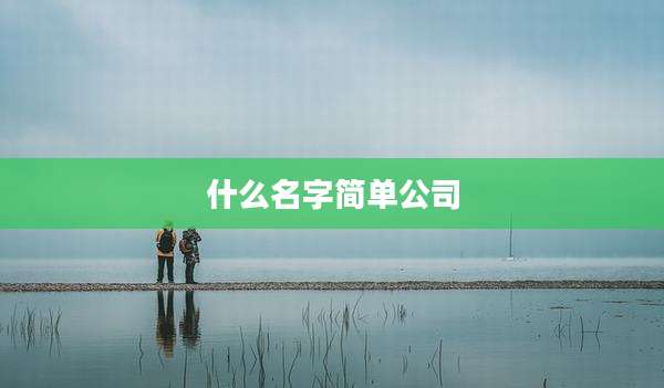 什么名字简单公司