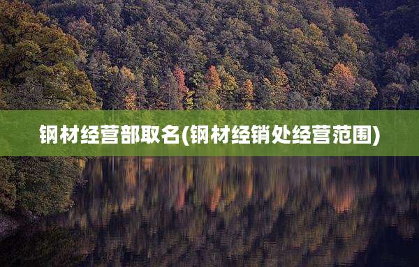 钢材经营部取名(钢材经销处经营范围)