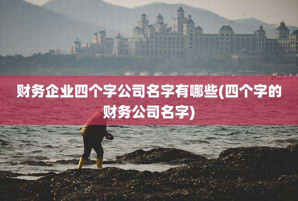 财务企业四个字公司名字有哪些(四个字的财务公司名字)