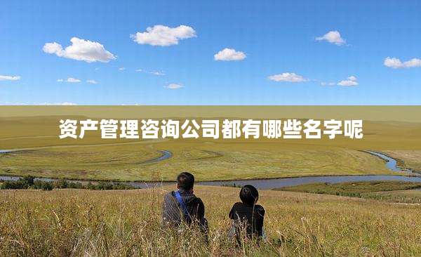 资产管理咨询公司都有哪些名字呢