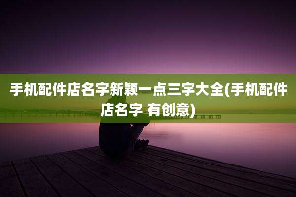 手机配件店名字新颖一点三字大全(手机配件店名字 有创意)