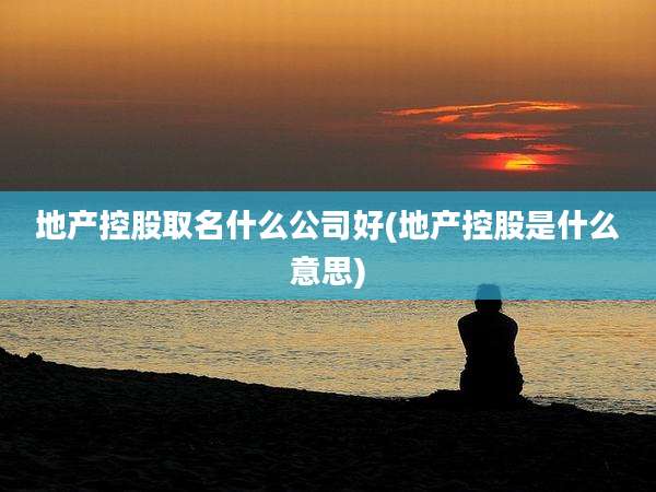 地产控股取名什么公司好(地产控股是什么意思)