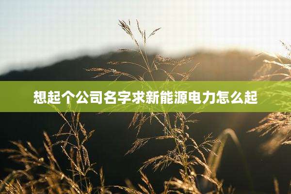 想起个公司名字求新能源电力怎么起