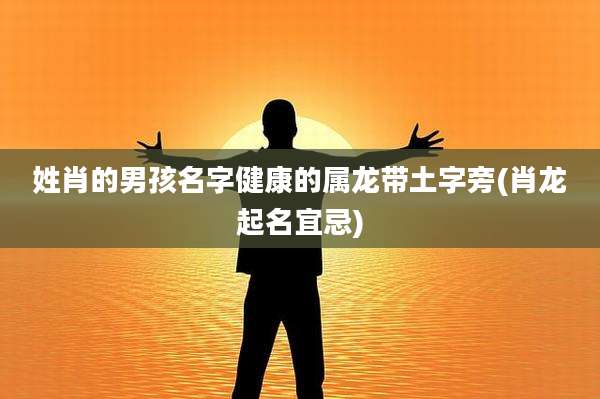 姓肖的男孩名字健康的属龙带土字旁(肖龙起名宜忌)