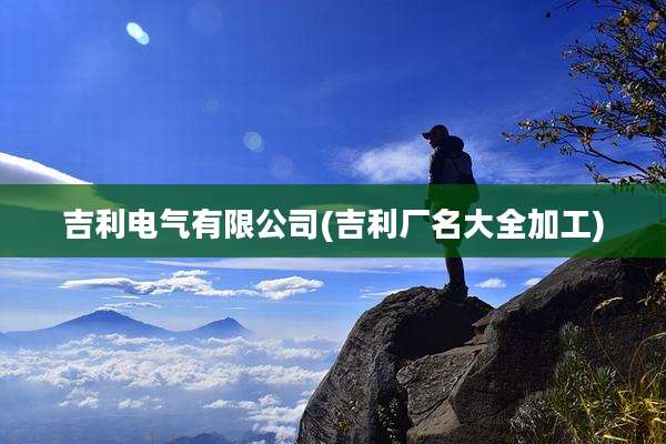 吉利电气有限公司(吉利厂名大全加工)