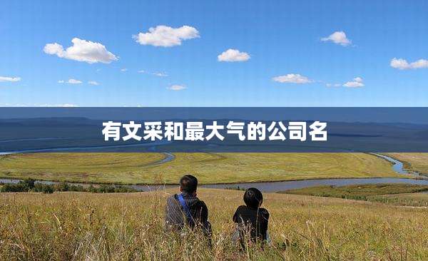 有文采和最大气的公司名