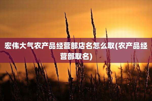 宏伟大气农产品经营部店名怎么取(农产品经营部取名)