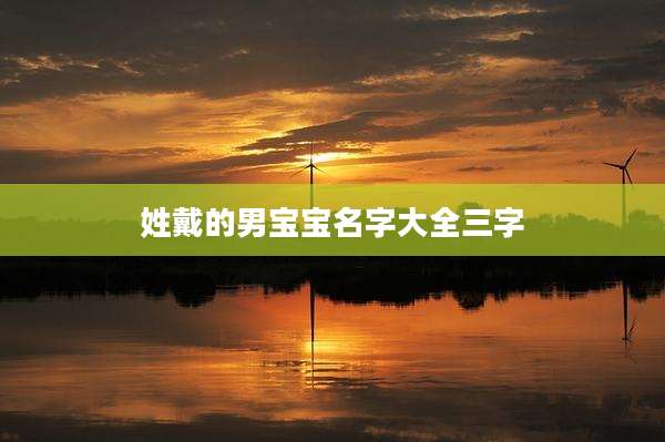 姓戴的男宝宝名字大全三字