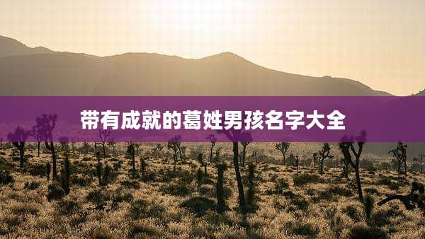 带有成就的葛姓男孩名字大全