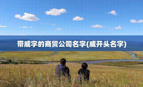 带威字的商贸公司名字(威开头名字)