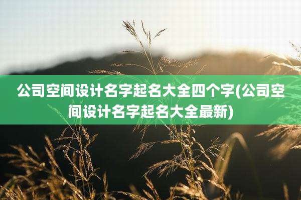 公司空间设计名字起名大全四个字(公司空间设计名字起名大全最新)