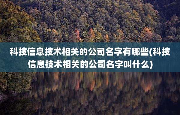 科技信息技术相关的公司名字有哪些(科技信息技术相关的公司名字叫什么)