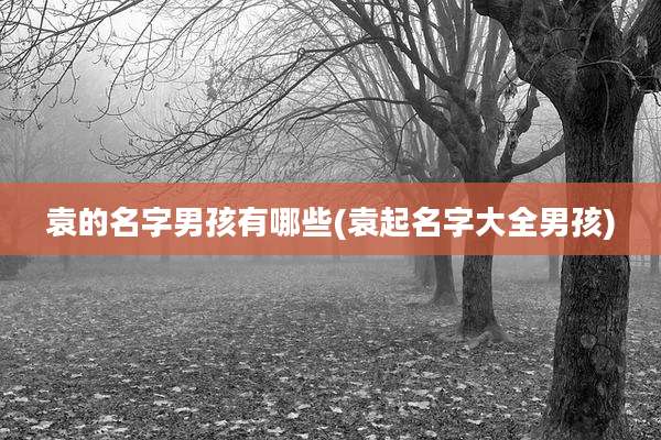 袁的名字男孩有哪些(袁起名字大全男孩)