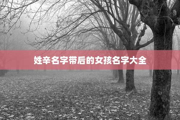 姓辛名字带后的女孩名字大全