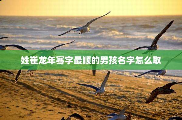 姓崔龙年骞字最顺的男孩名字怎么取