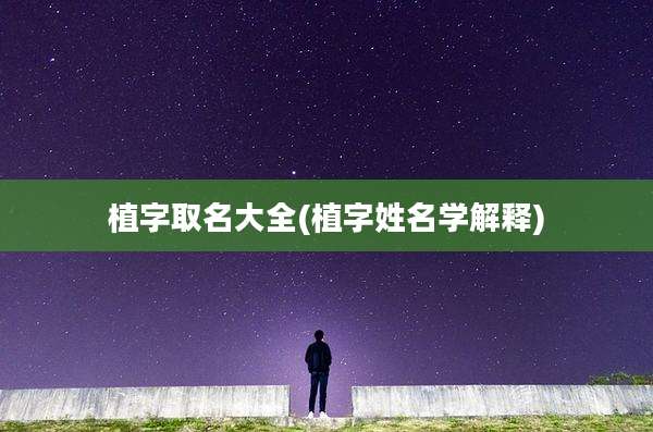 植字取名大全(植字姓名学解释)