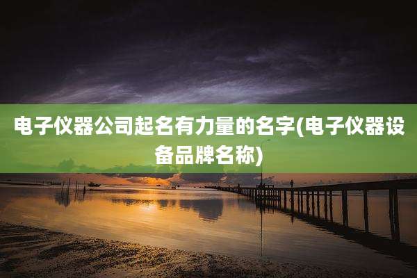 电子仪器公司起名有力量的名字(电子仪器设备品牌名称)