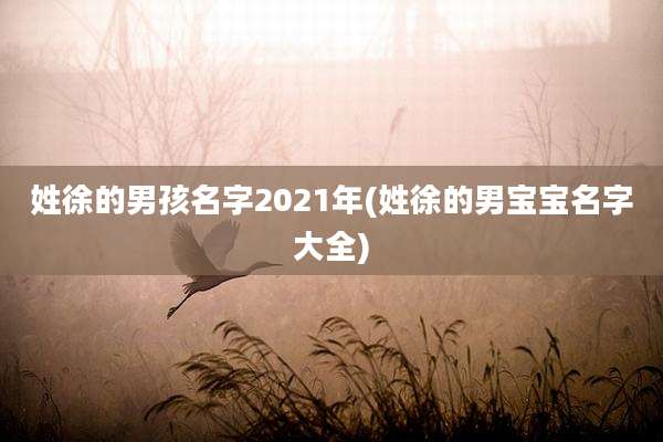 姓徐的男孩名字2021年(姓徐的男宝宝名字大全)