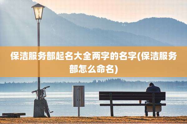 保洁服务部起名大全两字的名字(保洁服务部怎么命名)
