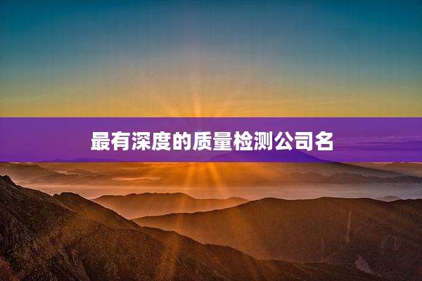 最有深度的质量检测公司名