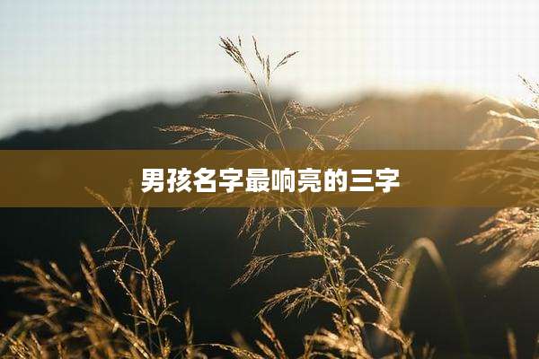 男孩名字最响亮的三字