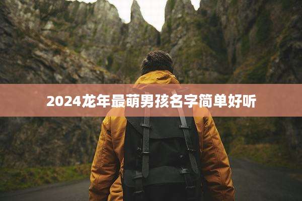 2024龙年最萌男孩名字简单好听