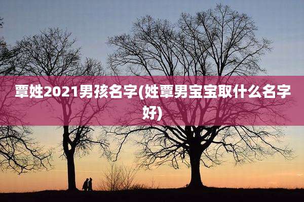 覃姓2021男孩名字(姓覃男宝宝取什么名字好)