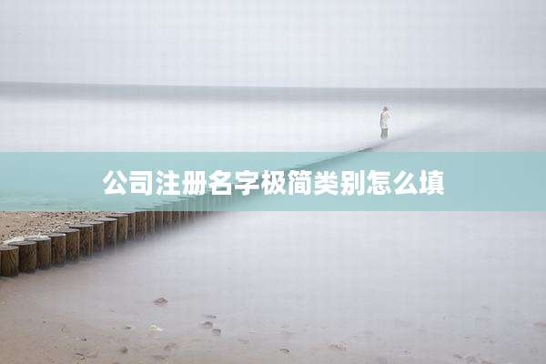 公司注册名字极简类别怎么填