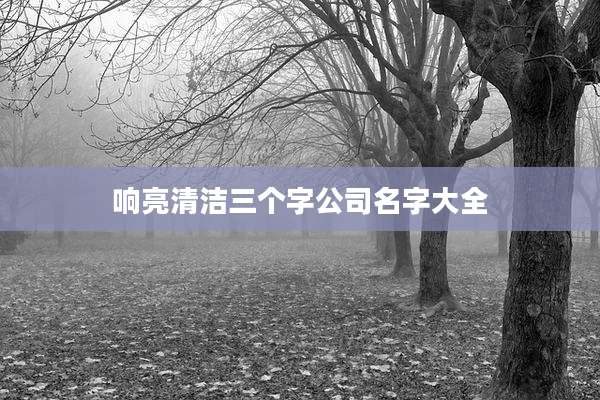 响亮清洁三个字公司名字大全