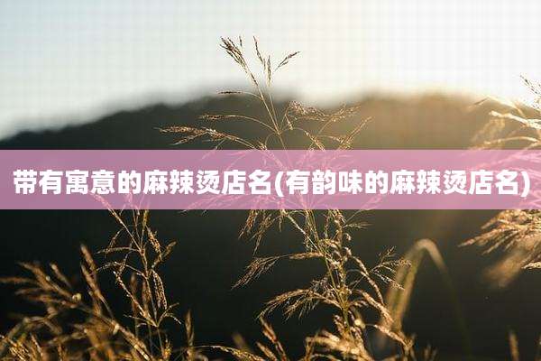 带有寓意的麻辣烫店名(有韵味的麻辣烫店名)