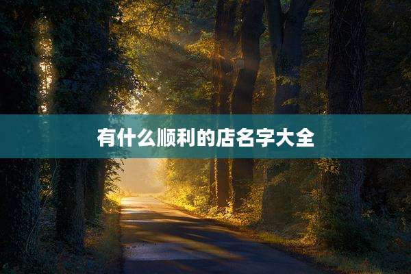 有什么顺利的店名字大全