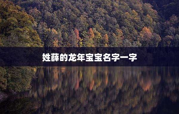 姓薛的龙年宝宝名字一字