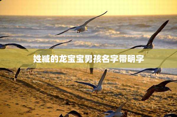 姓臧的龙宝宝男孩名字带明字