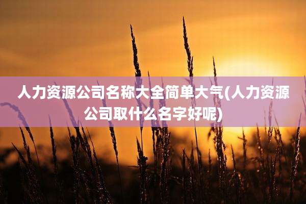 人力资源公司名称大全简单大气(人力资源公司取什么名字好呢)