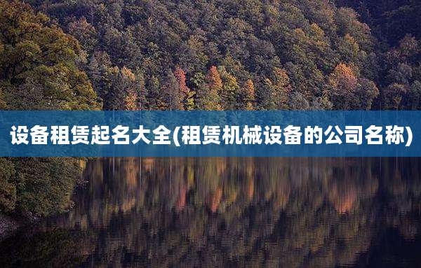 设备租赁起名大全(租赁机械设备的公司名称)